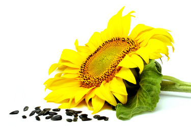 Similar image 203227