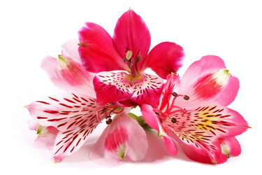 Similar image 203228