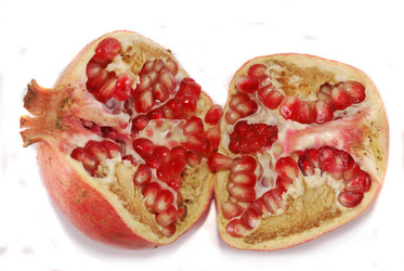 Similar image 203262