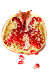 Similar image 203264