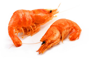 Similar image 203284