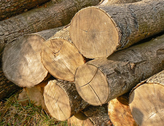 Similar image 203294