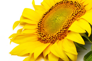 Similar image 203359