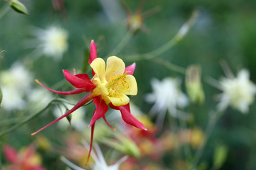 Similar image 203375