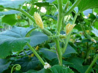 Similar image 203433