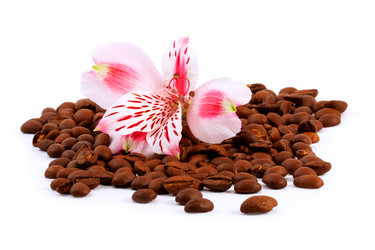 Similar image 203453