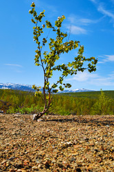 Similar image 203454