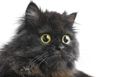 Similar image 203473