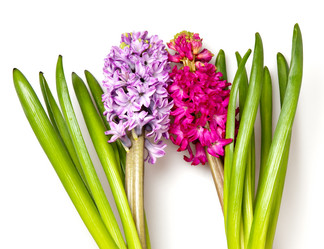 Similar image 203474