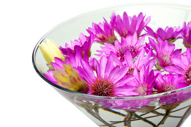 Similar image 203477