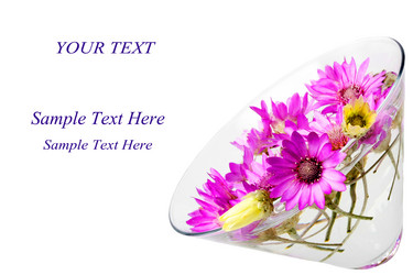 Similar image 203516