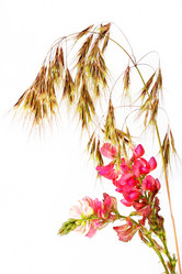 Similar image 203535