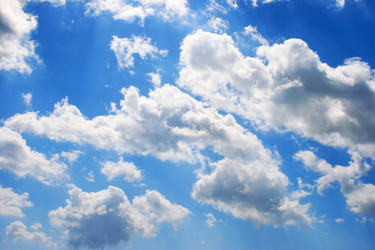 Similar image 203536