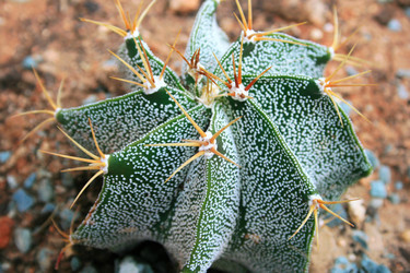 Similar image 203539