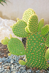 Similar image 203541