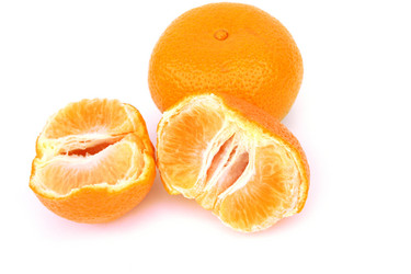 Similar image 203542