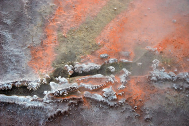 Similar image 203547