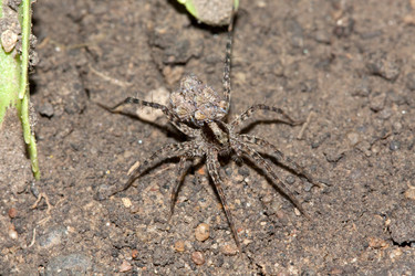 Similar image 203564