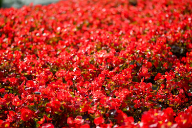 Similar image 203599