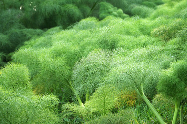 Similar image 203602