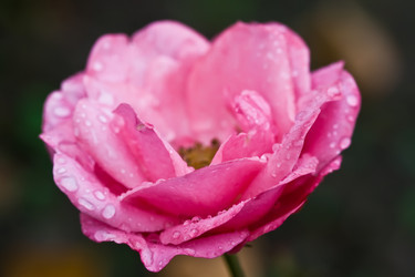 Similar image 203608