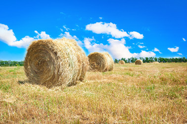 Similar image 203643