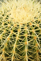 Similar image 203673