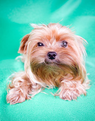 Similar image 203723