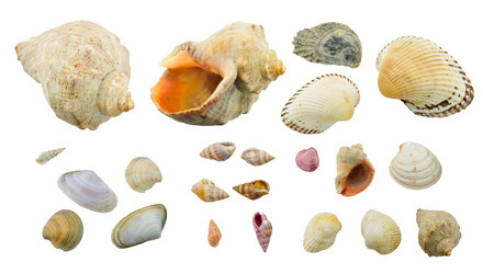 Similar image 203726