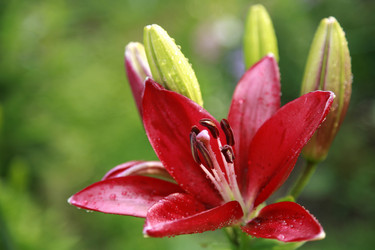 Similar image 203732