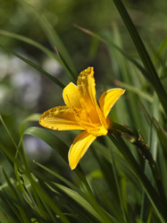 Similar image 203740