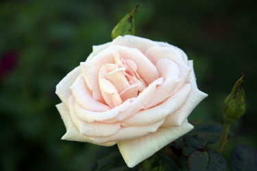 Similar image 203756