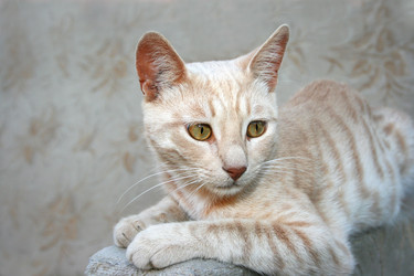 Similar image 203821