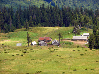 Similar image 203830