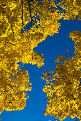 Similar image 203834