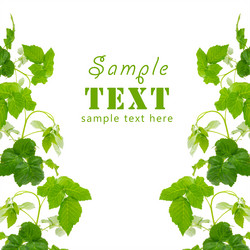 Similar image 203838