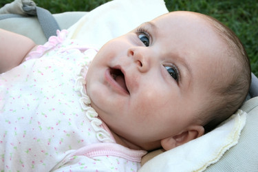 Similar image 203858