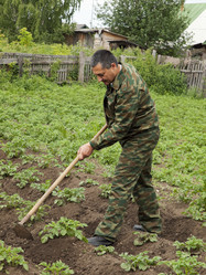 Similar image 203877