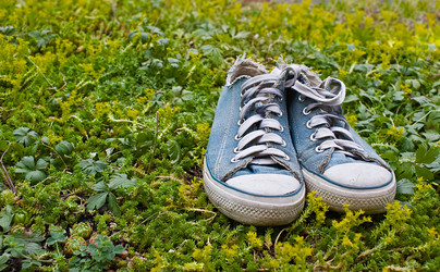 Similar image 203880