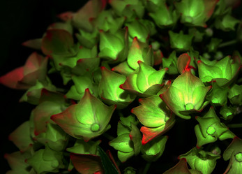 Similar image 203902