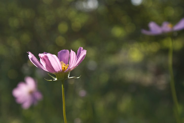 Similar image 203915