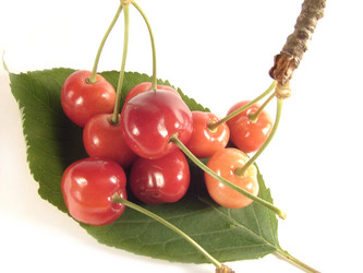 Similar image 203918