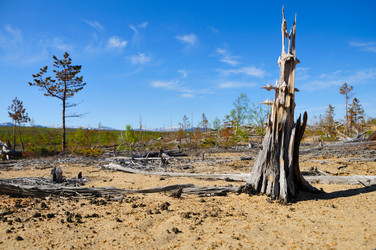 Similar image 203956