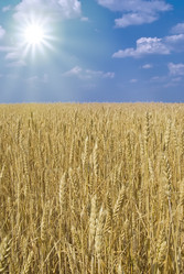 Similar image 203965