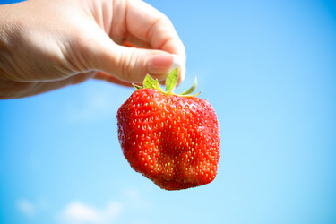 Similar image 203969