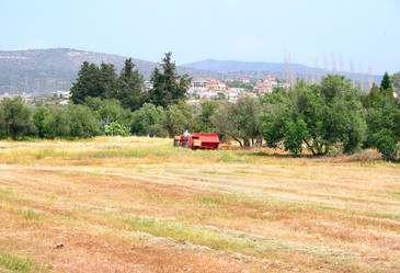 Similar image 203984