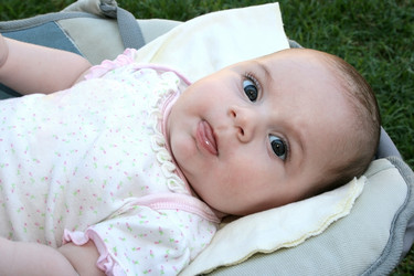 Similar image 203985