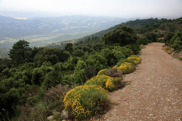 Similar image 203988