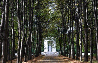 Similar image 203995