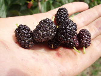 Similar image 204000